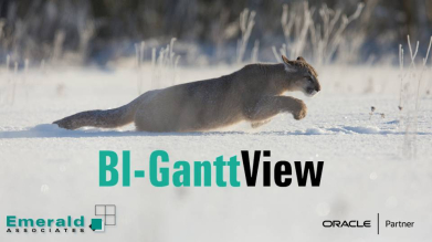 How to Build a Gantt Chart in Emerald's BI-GanttView